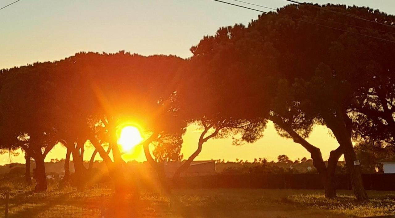 Sublime Sun & Van - By Meco Stays Alfarim Exteriör bild